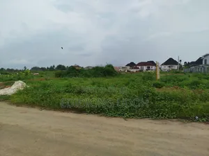 Photo - Government Allocated Lands for Sale at Akwa Ima Estate, Uyo,