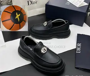 New CHRISTIAN Dior Corporate Shoe