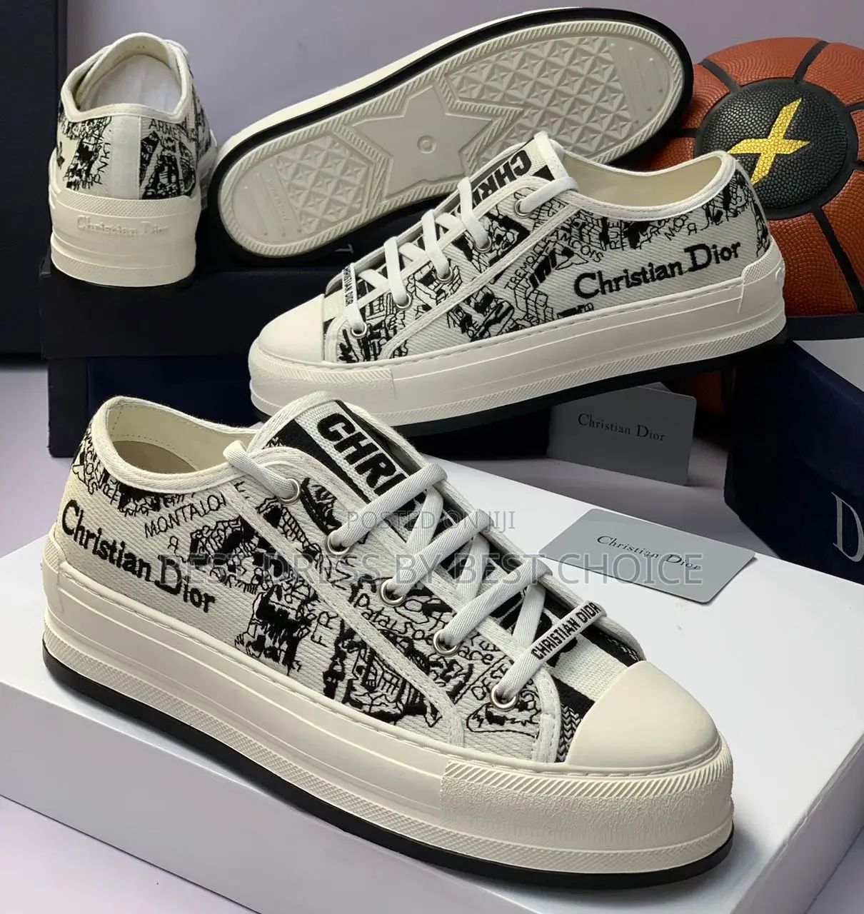 Christian Dior Luxury Shoe