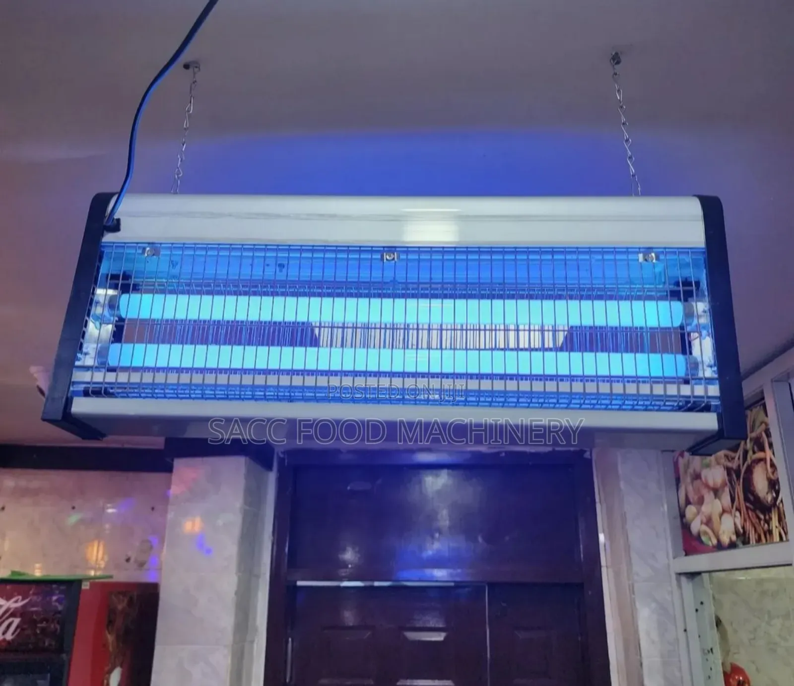 Insect Killer (40 Watts)
