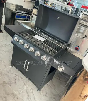 6 Burner Gas Bbq Grill With Size Stove
