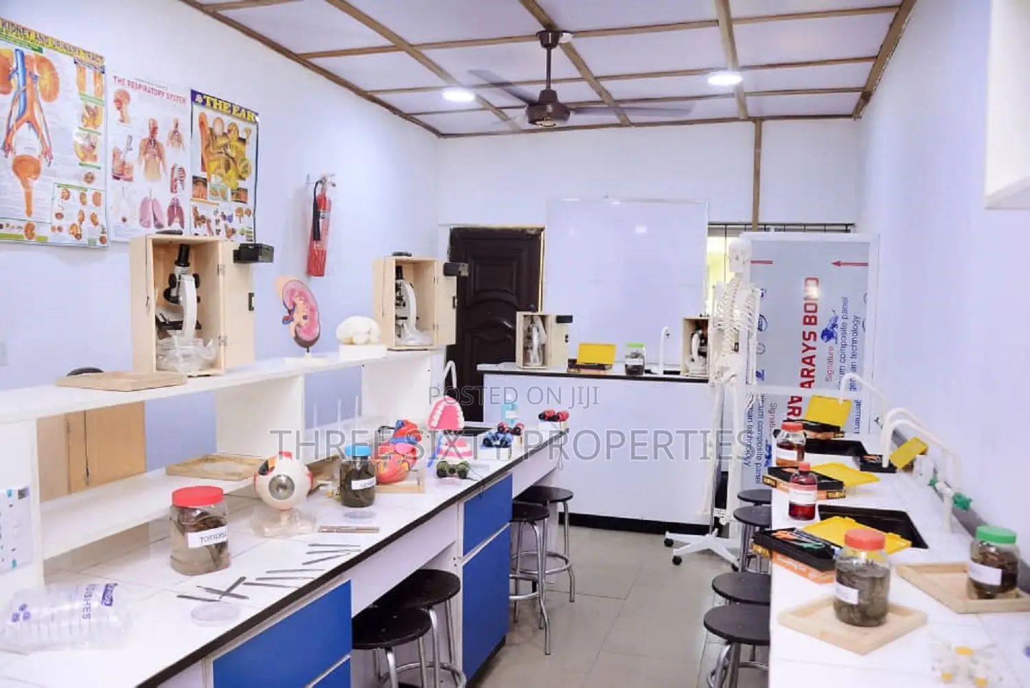Functional Secondary Primary Nursery Creche School