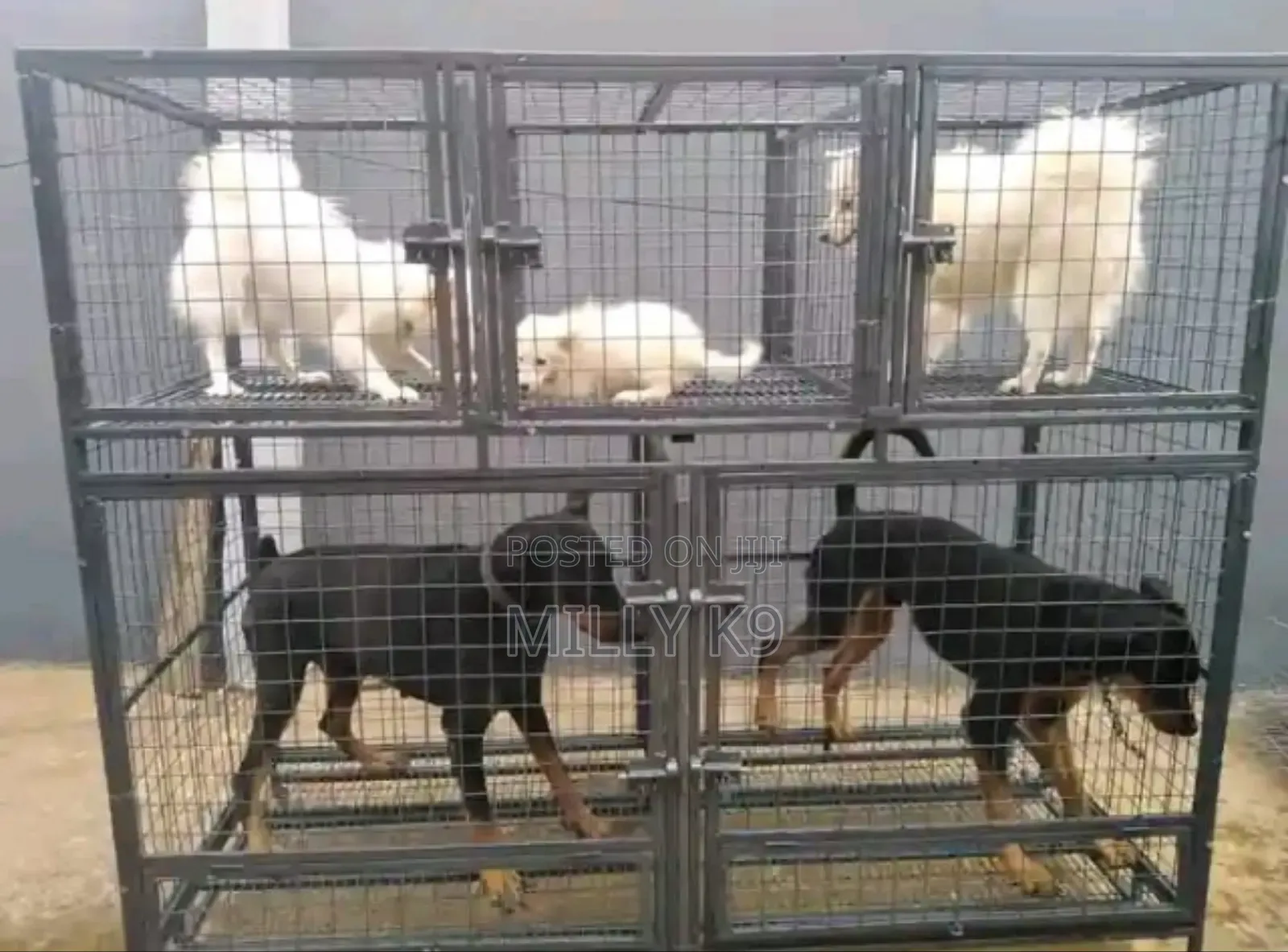 Veterinary Services