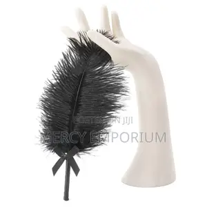 Teasing Feather BDSM Role Play for Couples