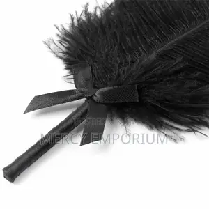 Teasing Feather BDSM Role Play for Couples