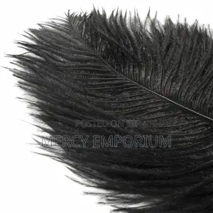 Teasing Feather BDSM Role Play for Couples