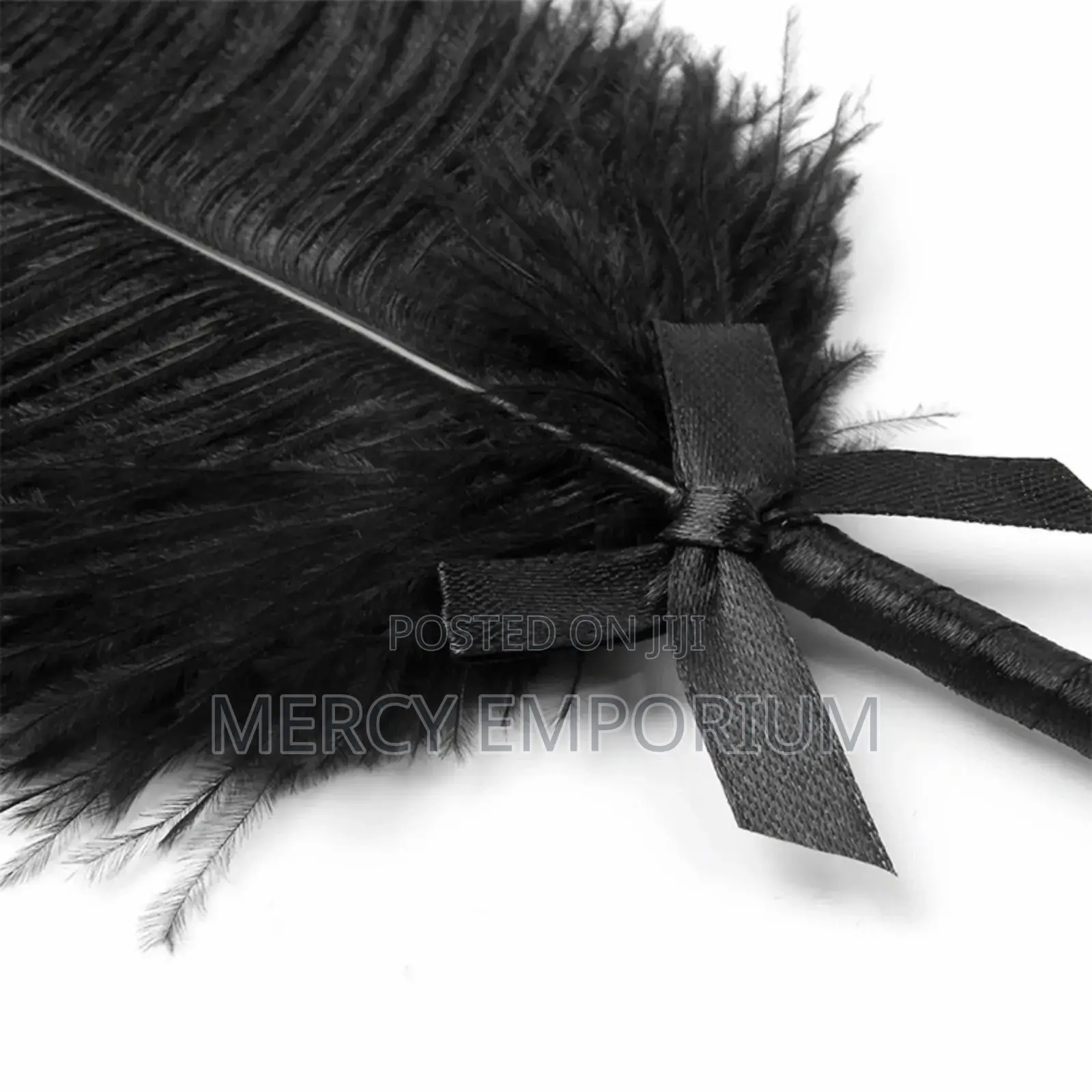 Teasing Feather BDSM Role Play for Couples