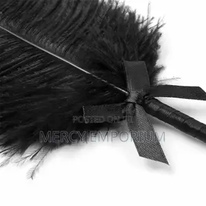 Teasing Feather BDSM Role Play for Couples