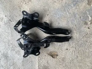 Bonnet Hunger RX 350 2015