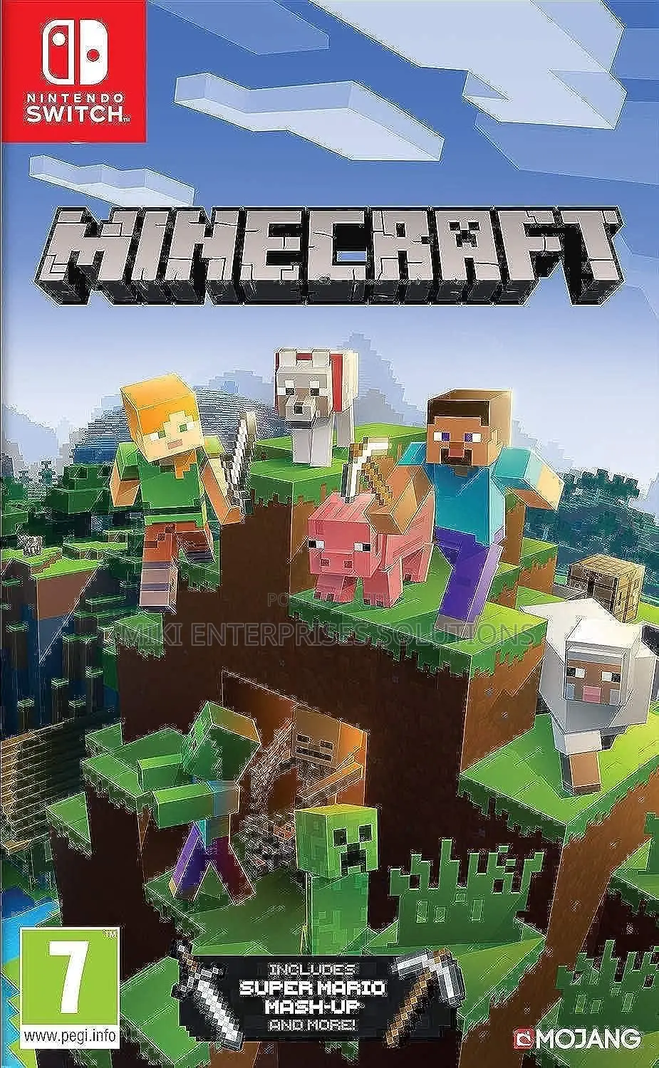 Nintendo Switch Minecraft Video Game