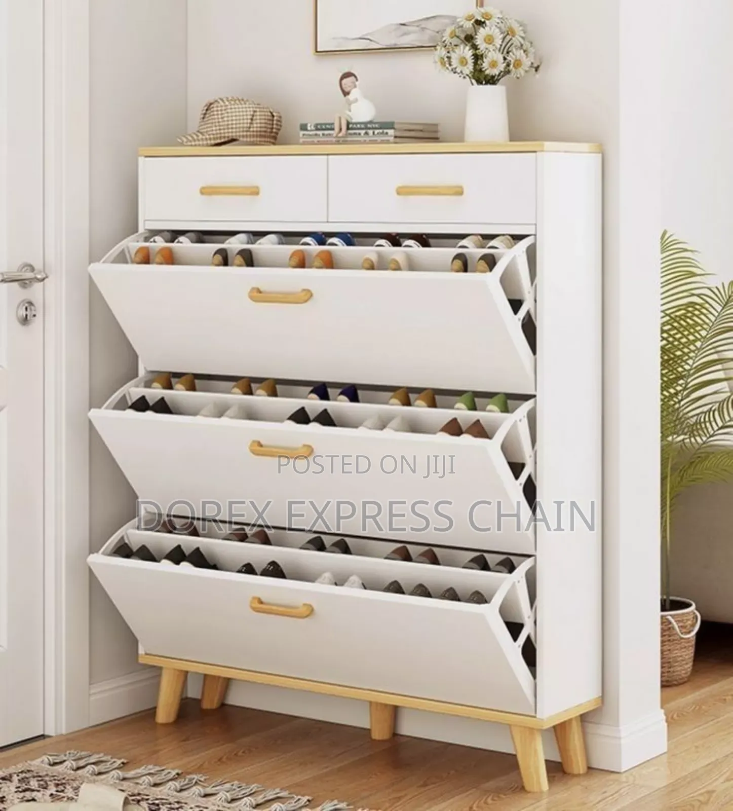 Modern Shoe Rack