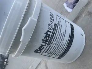 20 Liters Beulah Matt Paint
