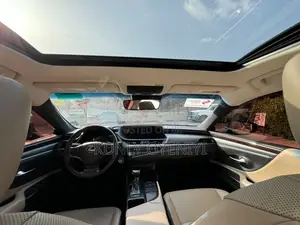 Lexus ES 250 Luxury 2021 Burgundy