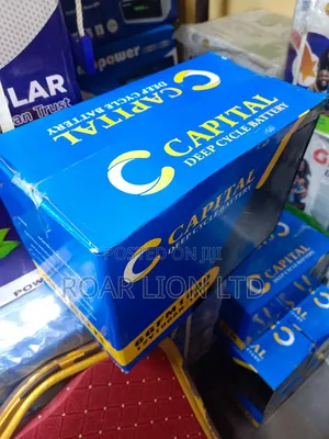 C Capital 100ah Dry Gel