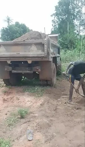 Plaster and Stone Dust
