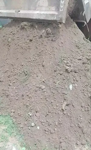 Plaster and Stone Dust