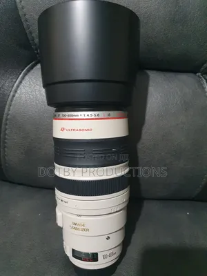 Canon EF 100-400mm Lens