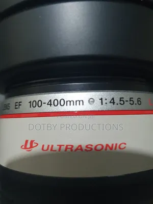 Canon EF 100-400mm Lens