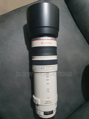 Canon EF 100-400mm Lens