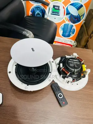 2in1 Bluetooth Ceiling Speakers With Remote Control