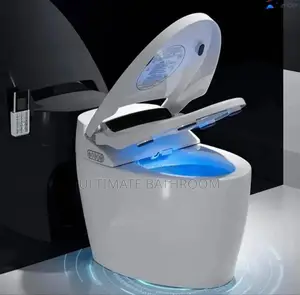 Intelligent Watercloset With Voice Command