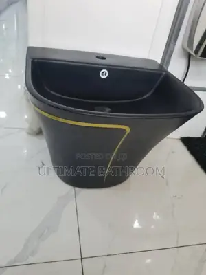 Wall Hung Black and Gold Basin
