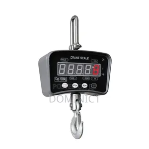 Crane 1ton Hanging Scale
