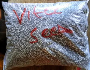 1 Kg of Vitex ( Chaste Berry)