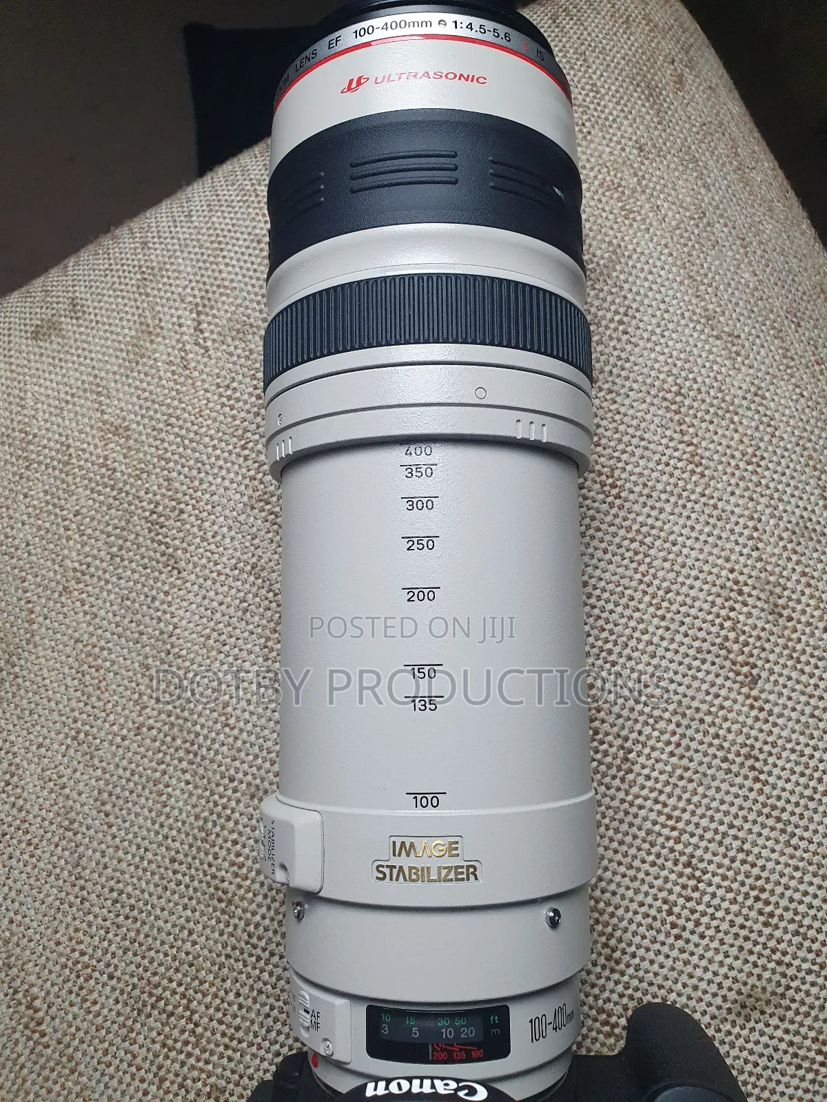 Canon EF 100-400mm Lens