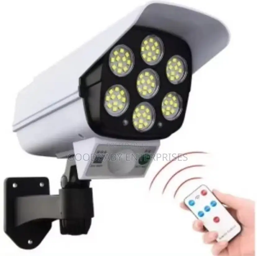 Solar Security Light
