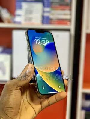 Apple iPhone 13 Pro Max 128 GB Gray