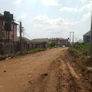 Two Plots of Land at Bishop's Court Fenced Right Round