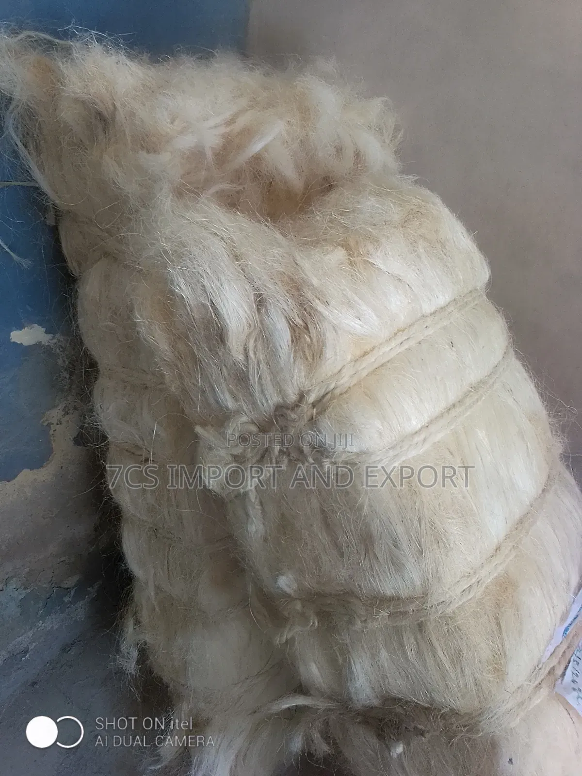 Quality Fila Sponge for Pop Casting