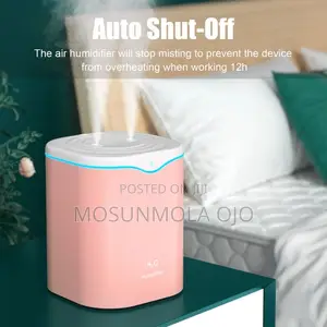 2L Double Spray Humidifiers LED Light