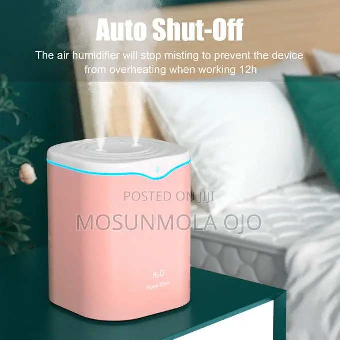 2L Double Spray Humidifiers LED Light