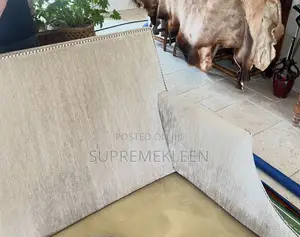 Professional Upholstery, Couches Cleaning House Cleaning.