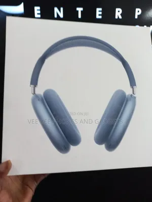 Apple 2024 Airpod Max