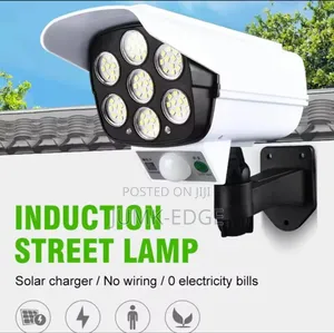 Induction Street Lamp