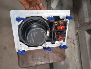 Professional in-Wall Loudspeaker