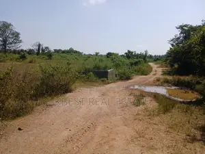 Acres of Land at Papanla Okinin Osogbo in a Developed Area