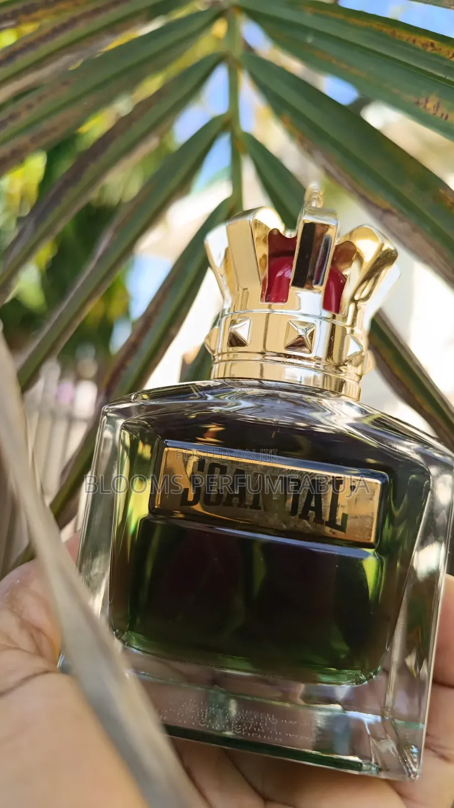 Scandal Le Parfum