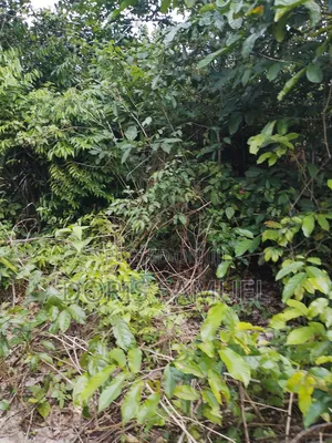 Plots of Land at Woji Alesa Link Road