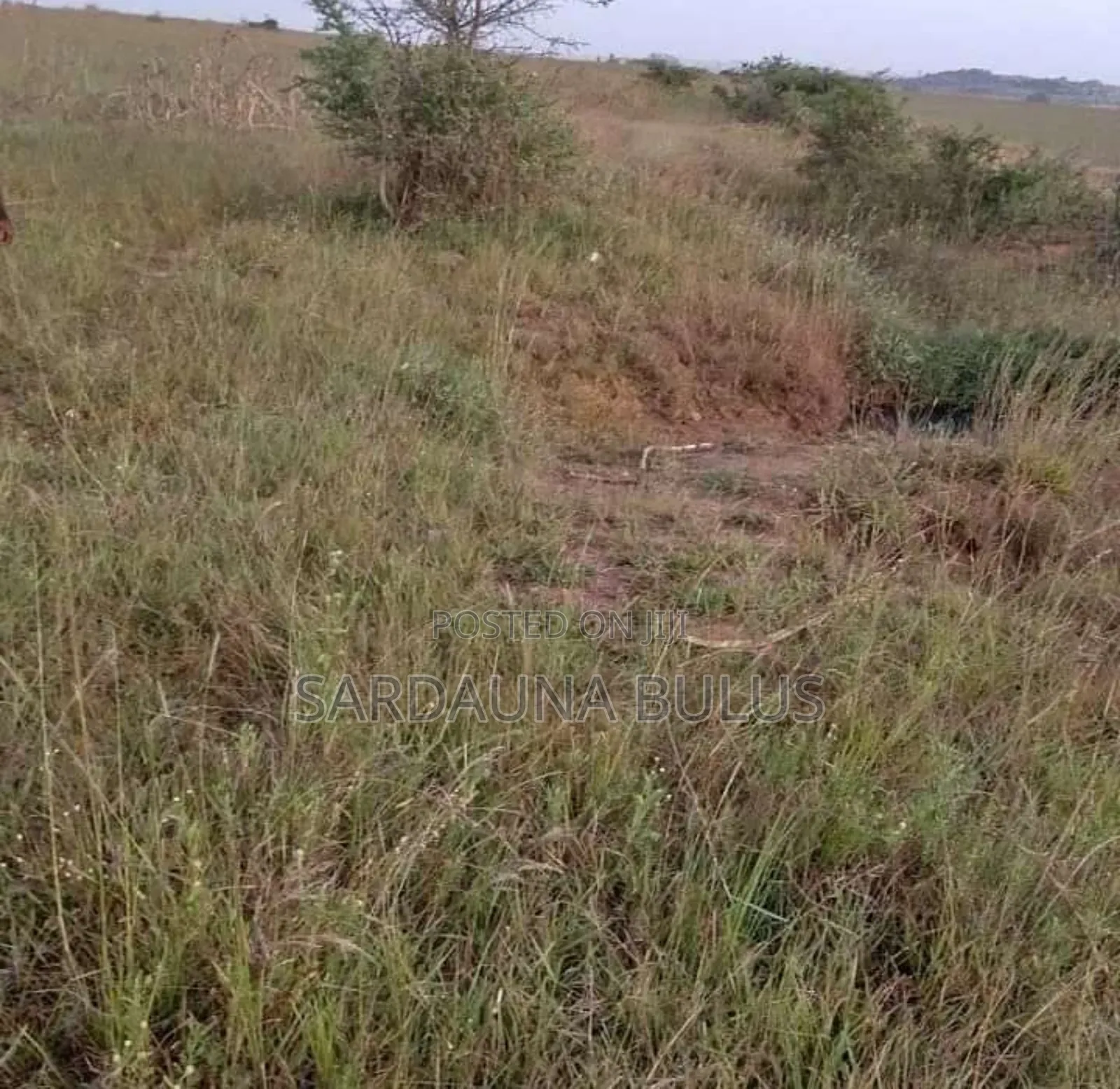 Plot for Sale