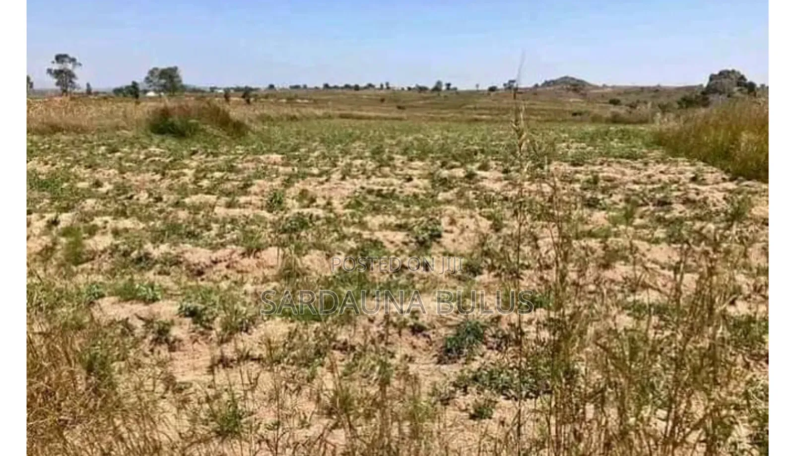 Plot for Sale