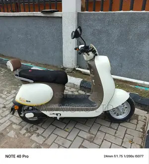Photo - New CAD 2023 White