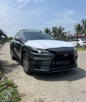 Photo - Lexus RX 2023 Gray