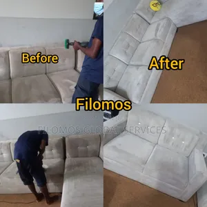 Chair/ Sofa Cleaning Services
