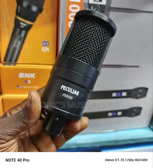 High Quality Px-2020 Peculiar Studio Microphone