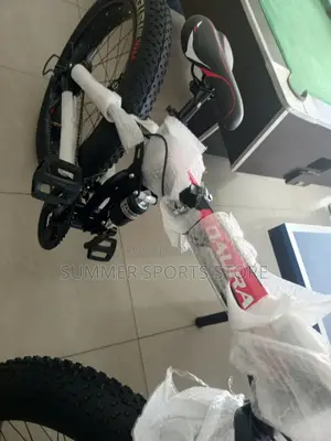 Fat Tyre Bicycle