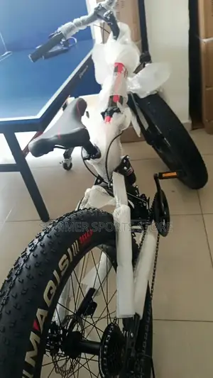 Fat Tyre Bicycle